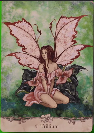 Fairy Wisdom Oracle